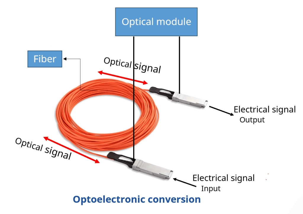 Everything You Need to Know About Optical Modules