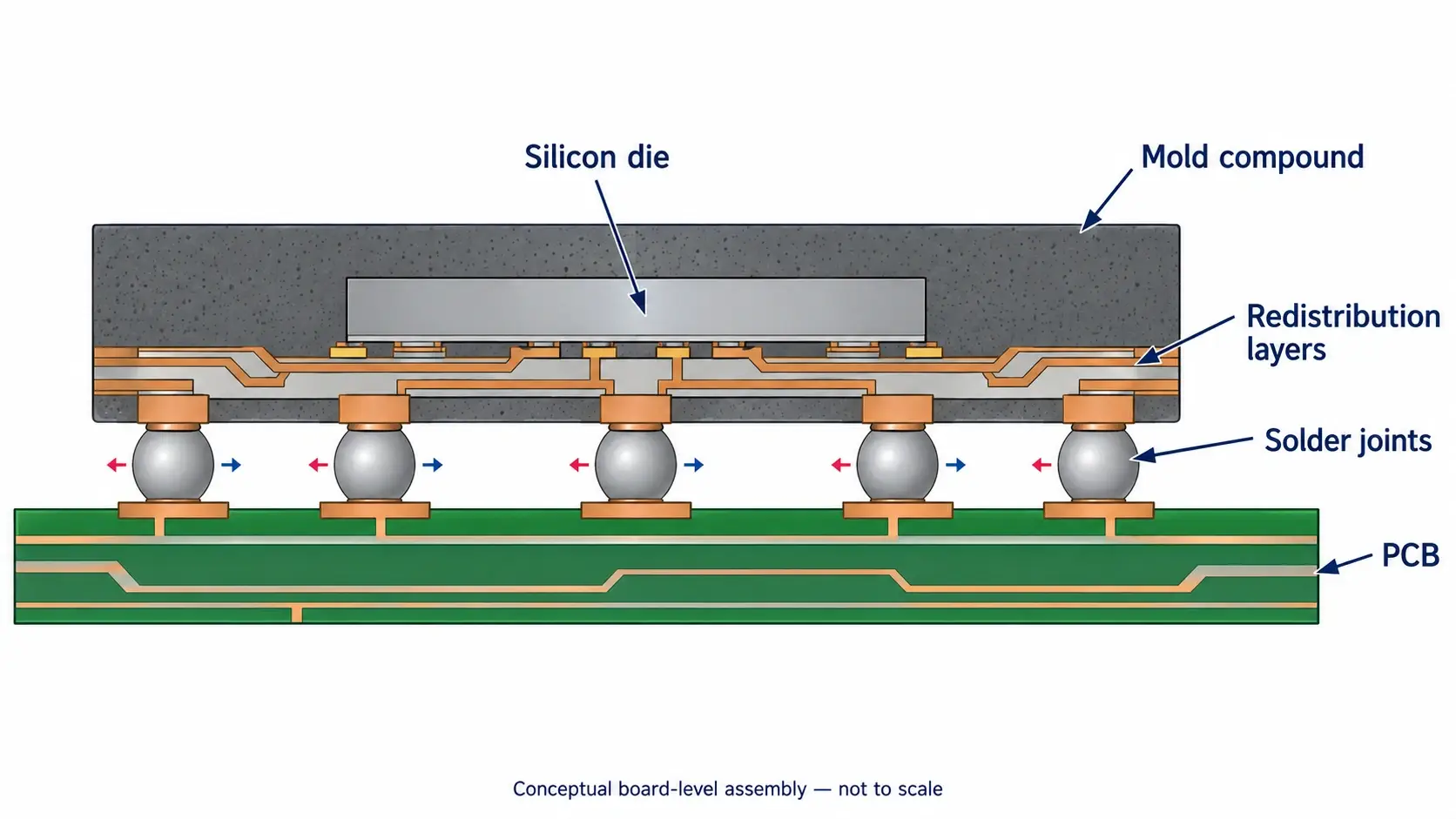 Fan-out package board-level solder joint interface
